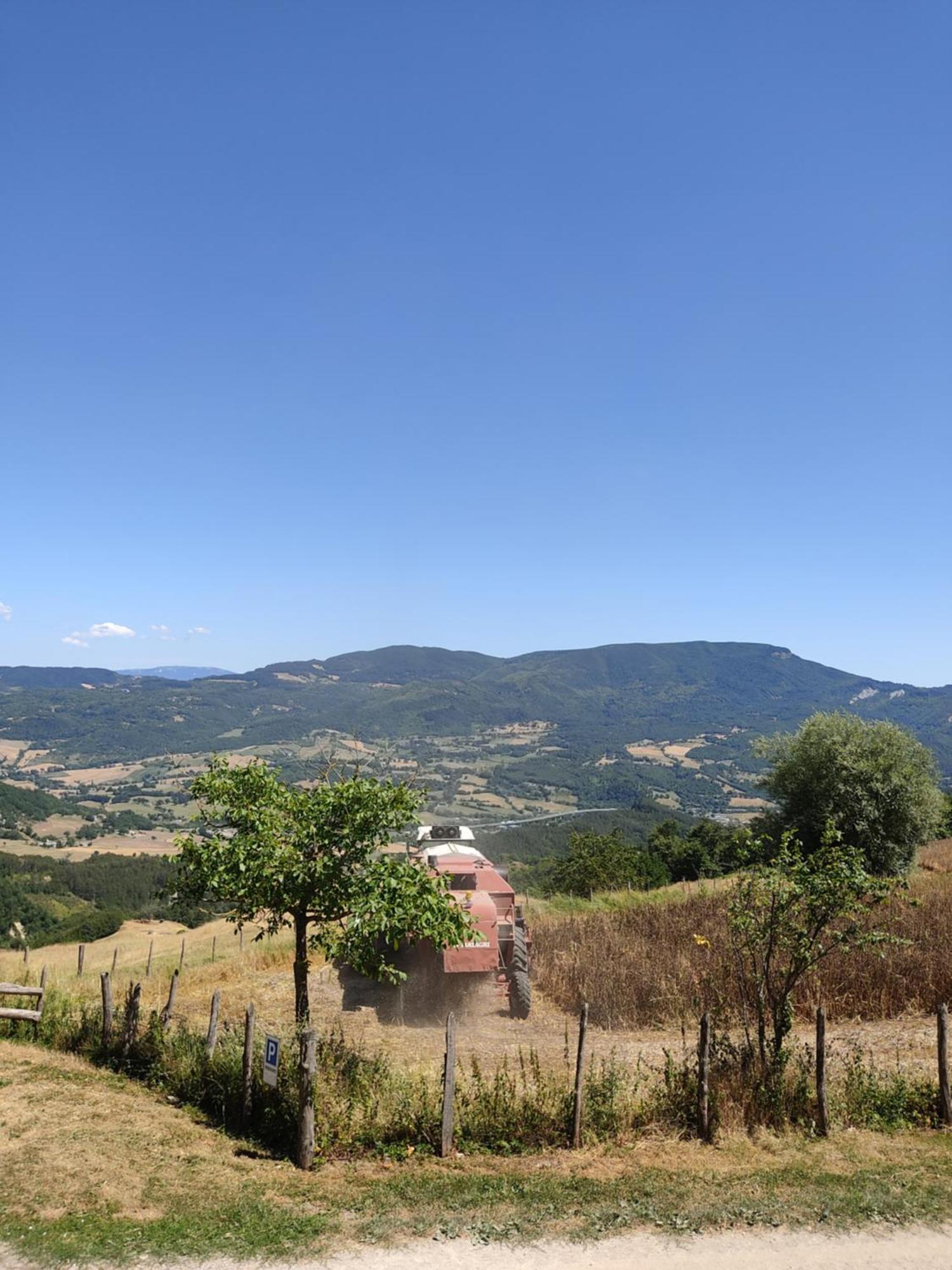 Apartment Agriturismo Al Monte San Piero in Bagno